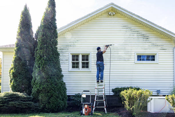 Best Sidewalk and Walkway Cleaning  in Fennimore, WI
